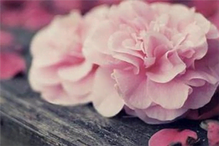 Hạnh phúc không dễ kiếm tìm